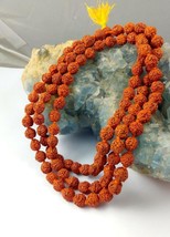 Rudraksha Mala Holy Hindu 108 + 1 Perlen Rosenkranz Mala 8 mm Größe... - $9.44