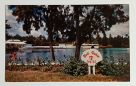 Weeki Wachee Spring of the Mermaids Florida Attraction Dexter Postcard 1950s (b) - £7.86 GBP