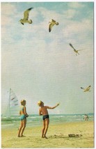 Postcard Children Chasing Seagulls On The Beach - £3.95 GBP