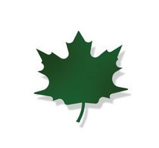 Maple GREEN Magnet 1in.W x 2.5in.H x 0in.D - $29.95