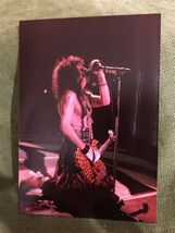 Kiss Paul Stanley kneeling singing I Still Love you concert photo 3 x 5 - $9.98
