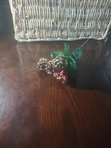 Pine Cone Bouquet - $205.02 MXN