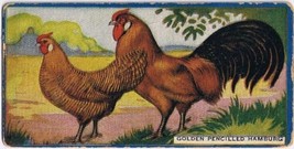 Cowan Co Toronto Card Golden Pencilled Hamburg Chicken Series - $9.89