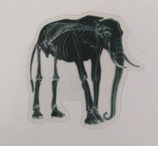 Elephant X-Ray Transparent Sticker 2.75&quot; x 2.25&quot; (Z) - $1.64