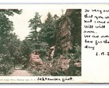 Laurel Lodge Drive Mohonk Lake New York NY 1905 UDB Postcard N16 - $4.42
