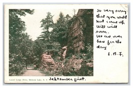 Laurel Lodge Drive Mohonk Lake New York NY 1905 UDB Postcard N16 - £3.49 GBP