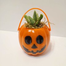 Mini Halloween Succulent Planters, set of 2, Pumpkin Jack O'Lantern Pots image 5