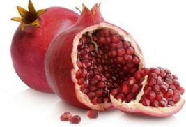 Pomegranate Actively Growing Live Plant (Punica granatum) - £35.77 GBP