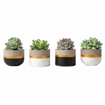 3 Inch Mini Cement Succulent Planter For Indoor Plant, Set Of 4 Modern Tiny Conc - £31.71 GBP
