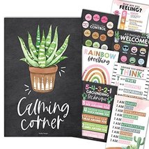 Cactus Calming Corner Posters | Set of 9 | Classroom Decor - £20.10 GBP