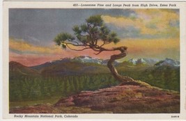 Rocky Mountain National Park Postcard Lonesome Pine Longs Peak High Drive Estes - £2.39 GBP
