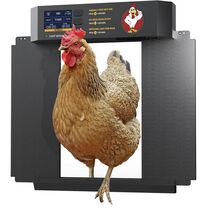 Chicken Coop Door Large LCD Display Timer &amp; Light Sensor Anti-Pinch Prot... - $90.04