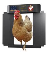 Chicken Coop Door Large LCD Display Timer &amp; Light Sensor Anti-Pinch Prot... - $90.04