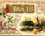 John Winsch A Happy New Year Jan 1st Gilt Icicles Embossed 1911 DB Postcard - £3.88 GBP