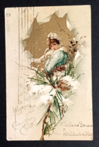 Wishing You Christmas Cheer Woman in Paper Window Snow Pinecones Postcar... - $9.99