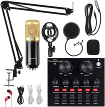 Alpowl Podcast Equipment Bundle, Audio Interface With Voice Changer, Bm800-V8G - $53.30