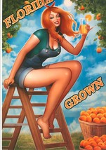 Nathan Szerdy SIGNED Comic Art Print ~ Florida Grown Oranges Redhead Pinup Girl - £20.17 GBP