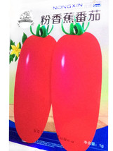 150 Seeds Small Pink Banana Tomato Organic Vegetables Gardening USA Seller - £5.81 GBP