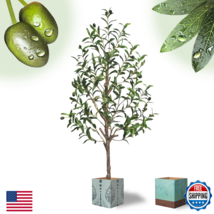 Liguanow Artificial Olive Tree Water Droplets 4Ft Potted Realistic Fake ... - $58.77