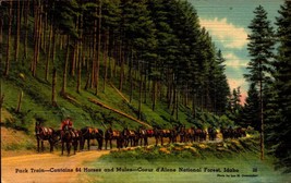 Linen POSTCARD-PACK-TRAIN, Coeur D&#39;alene National Forest, Idaho BK56 - £3.95 GBP