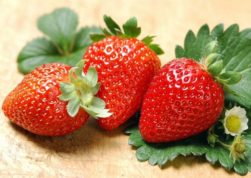 Albion Everbearing Strawberry 10 Bare Root Plants - $28.99