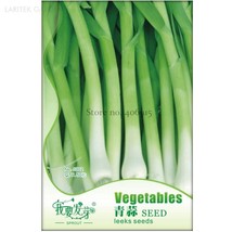 50 Seeds Chinese Green Leek Vegetables Gardening USA Seller - $7.22