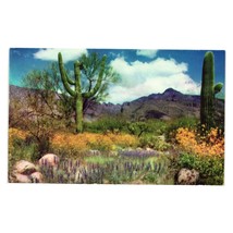 Vintage Postcard April Landscape Valley Of The Sun Desert Wild Flowers Cactus - £6.51 GBP