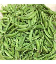 Zuccola sugarsnap pea - Snowpea - 10+ seeds - H 130 - £1.56 GBP