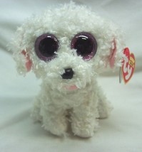 TY Beanie Boos 2016 PIPPIE THE WHITE POODLE DOG 5&quot; Plush Stuffed Animal ... - $14.85
