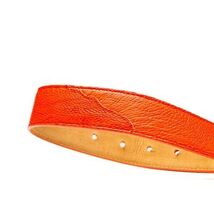 Alessio Genuine Ostrich Leg Exotic Belt Orange image 2
