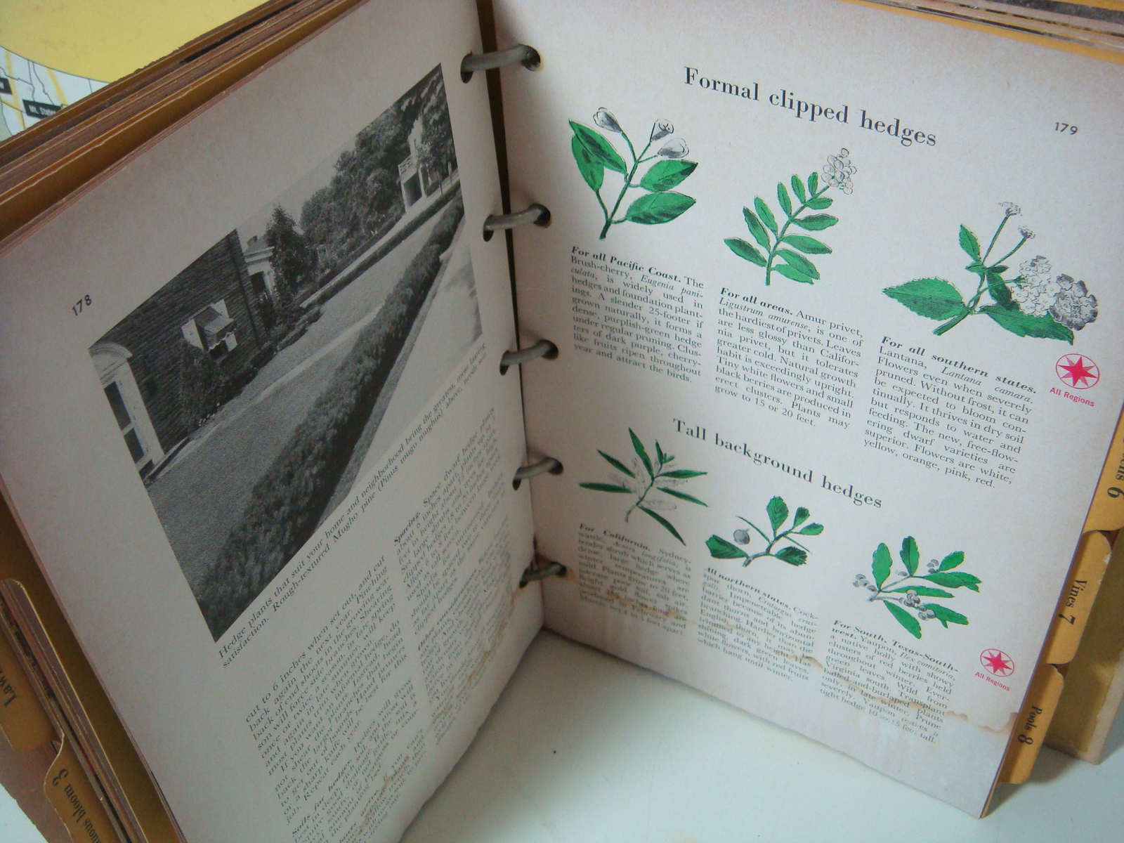 Item image 8