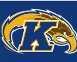 Kent State Golden Flashes Flag 3x5ft - $15.99