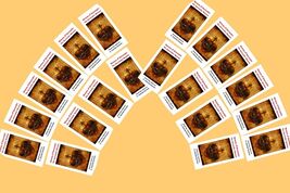 20 Pack The Surrender Novena Prayer Fr. Dolindo - $41.84 CAD