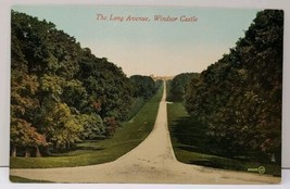 UK Berkshire, The Long Avenue ~ Windsor Castle  Postcard D16 - $5.95