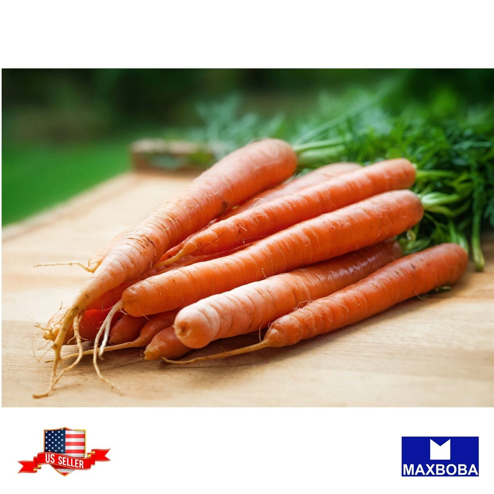 Fresh!!Carrot Seeds - Tendersweet Non-GMO Heirloom Vegetable Garden - $8.32