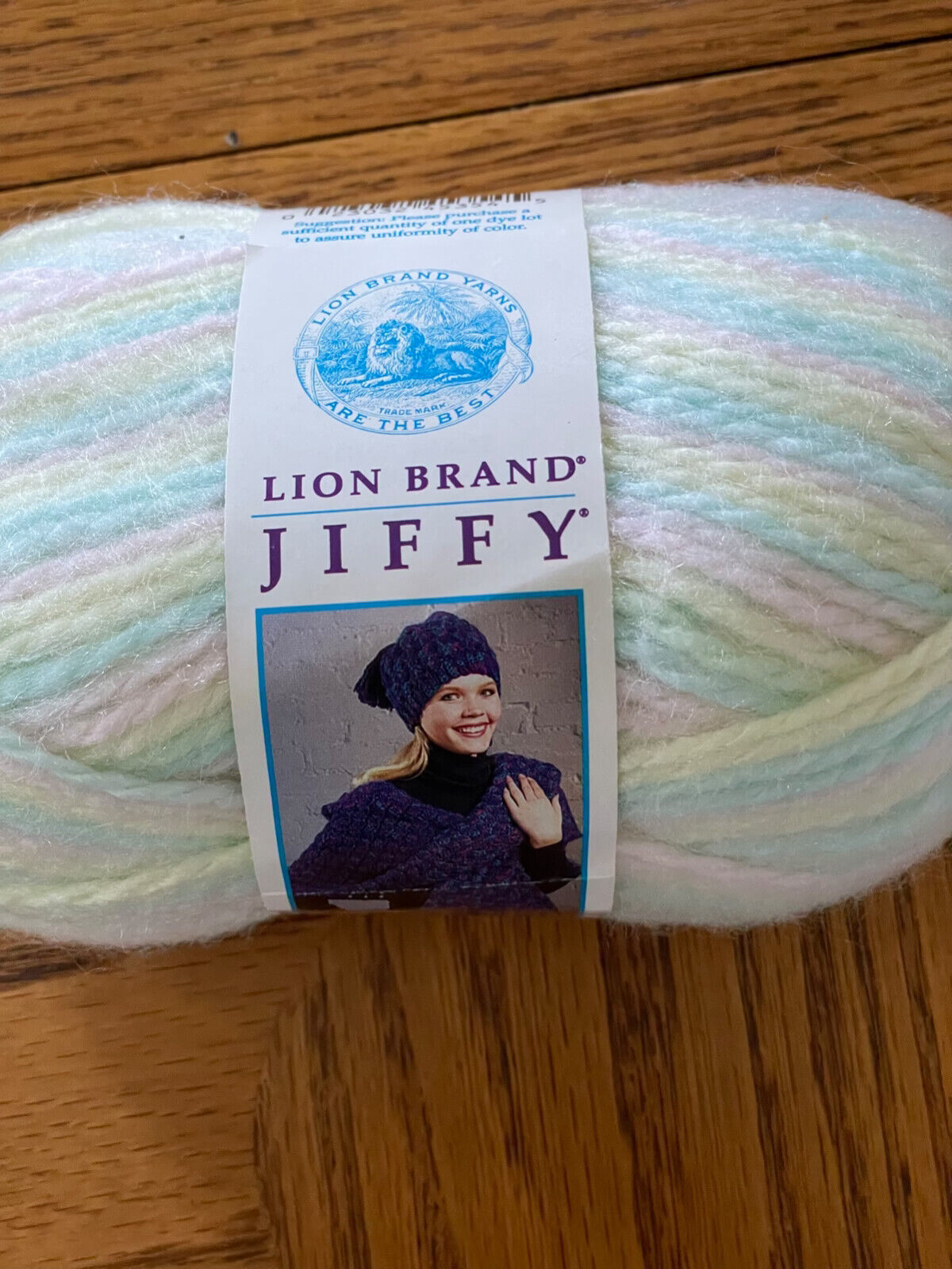 Lion Brand JIFFY - Bulky weight 100% Acrylic Yarn multi color 354 Daytona