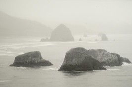 Tom Adams Photography Cannon Beach Ecola Point Oregon Matted Photo Art 16x20 - £42.52 GBP