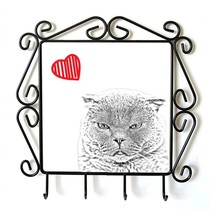 Scottish Fold- clothes hanger with an image of a cat. Collection. Cat with heart - £15.81 GBP
