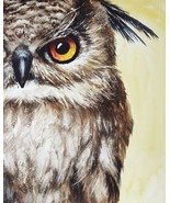 Owl Original Watercolor Painting Nursery Bird Animal Art Illustration Wa... - £140.73 GBP