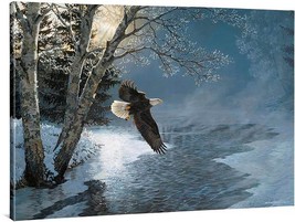 Persis Clayton Weirs Bald Eagle Awakening Extra Large Gallery Wrapped Canvas - £358.91 GBP