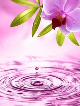Framed canvas art print giclée purple orchid flower garden pond spa wellness - £31.74 GBP+