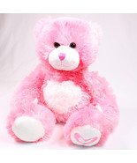 Build A Bear Pink Hearts Kisses For You Magnetic Plush Teddy Bear Stuffe... - €11,49 EUR