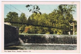 Postcard The Speed River Guelph Ontario - £3.86 GBP