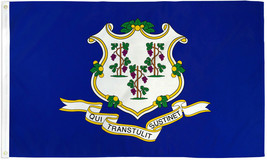 Connecticut Flag 3x5ft House Flag US State Flag CT Flag 100D - £10.92 GBP