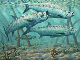 snook tarpoon sport fish mangrove ceramic tile mural backsplash medallion - £53.73 GBP+