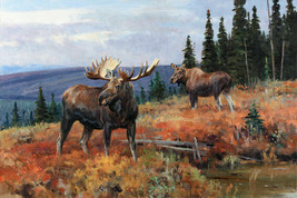 FRAMED CANVAS ART PRINT Giclee wildlife landscape mountain moose deer painting - £31.64 GBP+