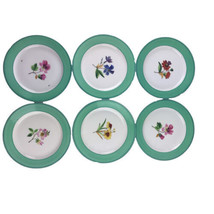 6 Antique Hand Painted Multi-Motif Floral Botanical Dessert Plates 9&quot; As-Is - $56.10