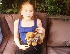 Border Terrier shaped shoulder or hand bag fitted with a tartan coat - $40.00