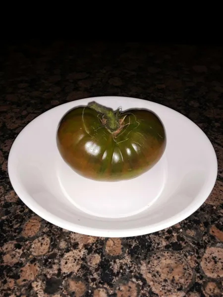40 Huge Gourmet Black Tomato Seeds Super Prolific Non Gmo. Open Pollinated Fresh - £7.06 GBP