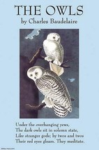 The Owls by Charles Baudelaire - Art Print - £17.29 GBP+